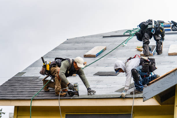 Professional Gutter Installation technician working in Sequoia National Park, CA